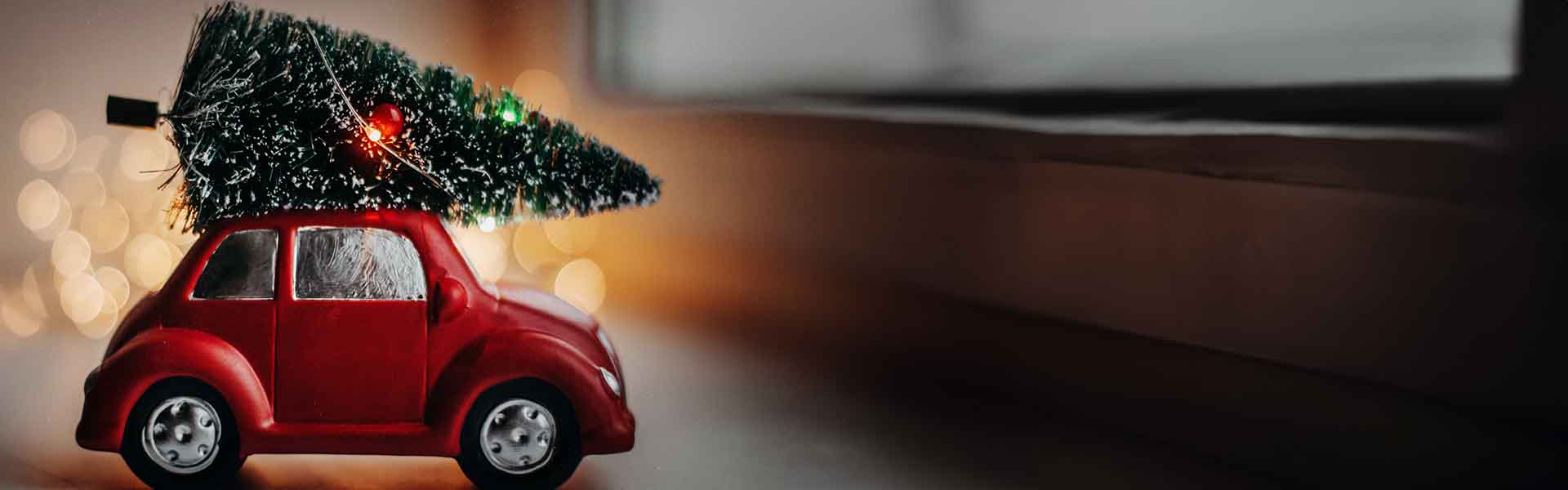 Auto mit Weihnachtsbaum auf dem Dach